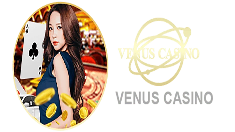 bet3333 Informações básicas sobre o saguão do cassino Venus